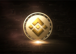 Bitcoin Evolution - Binance Coin